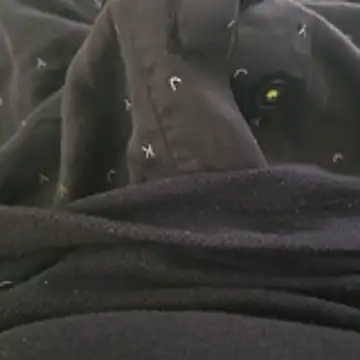 surfer fun29 online show from December 2, 5:35 am