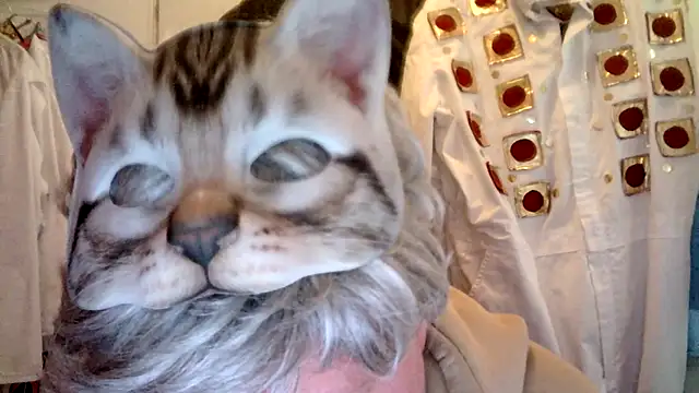 Snapshot of Sigorius chatting on March 6, 3:41 pm Sigorius online show from March 6, 3:41 pm