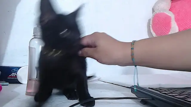 Catalina naugthy online show from January 15, 5:29 am