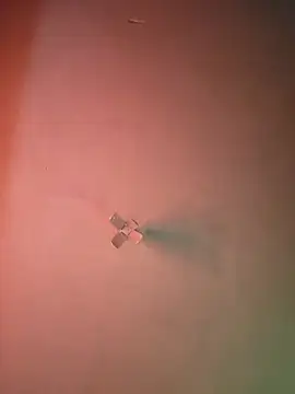 Ricorryxh online show from September 9, 5:07 am