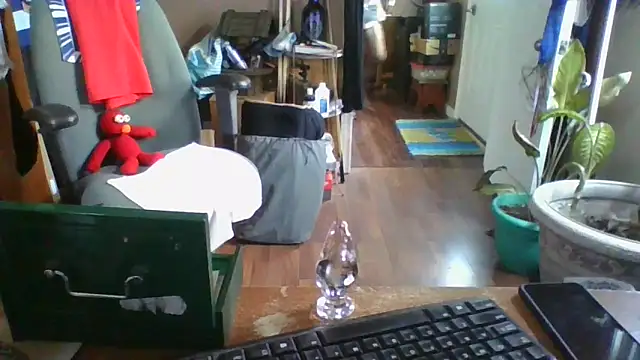 Daremeknot online show from December 30, 7:00 pm