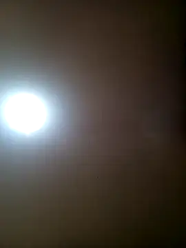 TrainedFinder5 online show from November 11, 11:49 pm