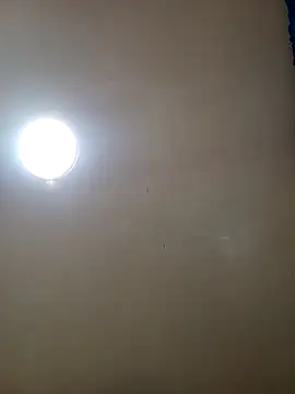 TrainedFinder5 online show from November 14, 11:24 pm