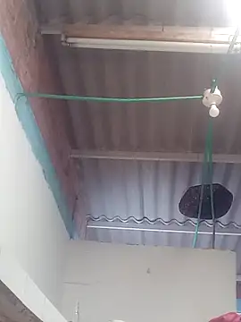 Snapshot of mailo_bronw chatting on March 30, 3:13 pm mailo bronw online show from March 30, 3:13 pm