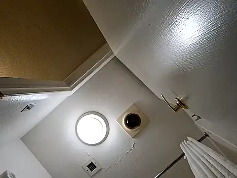 Snapshot of Treemandude chatting on October 29, 2:36 am Treemandude online show from October 29, 2:36 am