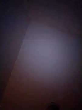 Snapshot of Treemandude chatting on January 6, 10:08 am Treemandude online show from January 6, 10:08 am