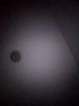 Snapshot of Treemandude chatting on January 15, 11:04 am Treemandude online show from January 15, 11:04 am