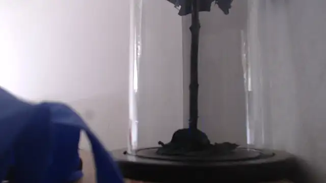 Janna099 online show from September 21, 5:58 pm