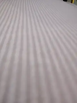 scarlett moore online show from November 9, 2:15 pm