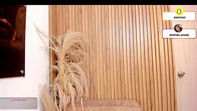 sofhiaa adaams online show from February 22, 5:11 pm