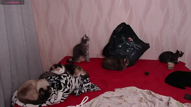 Snapshot of Olivia_Winston chatting on December 5, 9:50 pm Olivia Winston online show from December 5, 9:50 pm