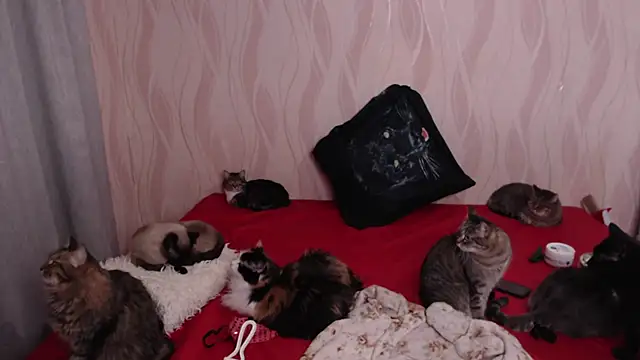 Snapshot of Olivia_Winston chatting on December 28, 9:40 pm Olivia Winston online show from December 28, 9:40 pm