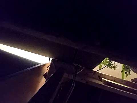 Daminou28 online show from October 19, 11:16 pm