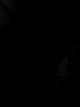 mia69x online show from December 4, 2:37 pm