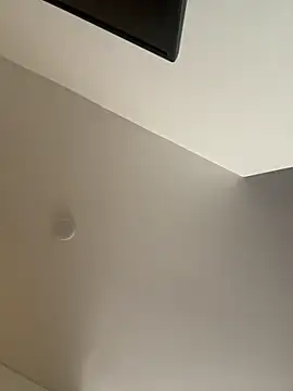 pamell col online show from November 14, 12:15 pm