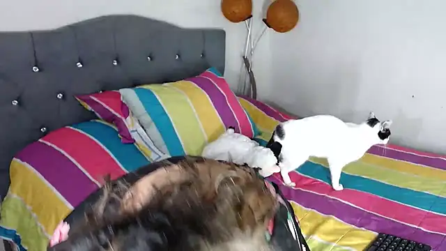 Chantal hott online show from October 18, 11:16 pm