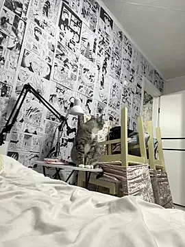 Minami 686 online show from December 9, 12:40 pm