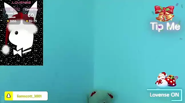 Snapshot of Liamscott_ chatting on December 22, 2:39 am Liamscott online show from December 22, 2:39 am