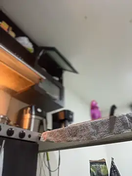 Snapshot of JulianaCastillo chatting on April 2, 9:18 am JulianaCastillo online show from April 2, 9:18 am