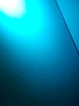 nicedicknicetats online show from October 31, 5:08 am