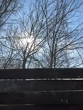 leila beayte  online show from March 7, 11:40 am