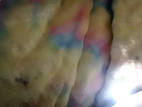 Snapshot of Moreno1813 chatting on March 15, 2:55 pm Moreno1813 online show from March 15, 2:55 pm