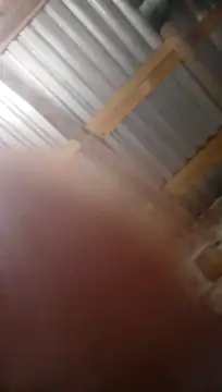 Snapshot of Moreno1813 chatting on November 5, 6:13 am Moreno1813 online show from November 5, 6:13 am