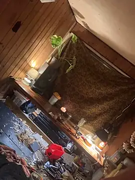 Snapshot of SexToyOnely chatting on February 6, 8:56 pm SexToyOnely online show from February 6, 8:56 pm