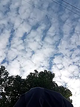 perversalus online show from October 2, 9:16 am