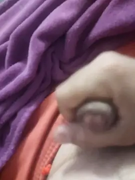 dredre1069 online show from February 2, 3:05 am