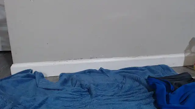 Dogz n daugthers online show from December 17, 6:24 am