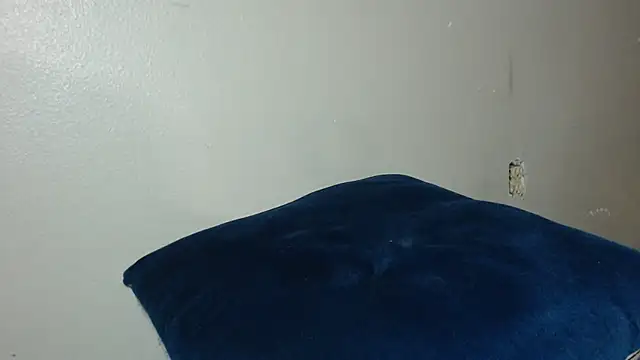 Dogz n daugthers online show from December 20, 8:17 am