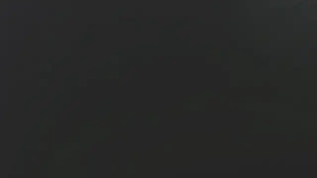 Dogz n daugthers online show from February 2, 3:21 am