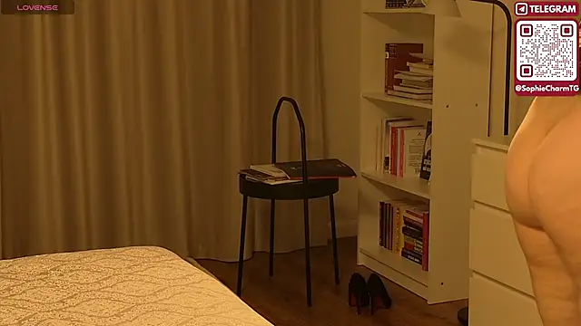 Snapshot of SophieCharm chatting on February 21, 4:13 am SophieCharm online show from February 21, 4:13 am