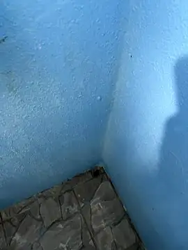 mfloressd14 online show from January 8, 6:21 pm