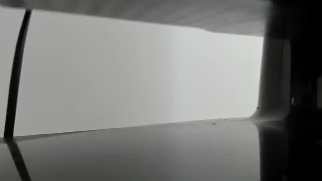 Alejandra Dunn online show from October 3, 1:19 pm