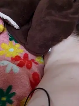 Snapshot of Adee21e chatting on December 3, 2:15 pm Adee21e online show from December 3, 2:15 pm