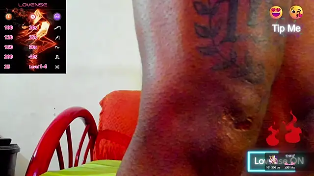 wotton 17 online show from December 21, 7:04 am