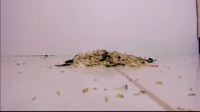 violeth hill online show from February 27, 11:26 pm