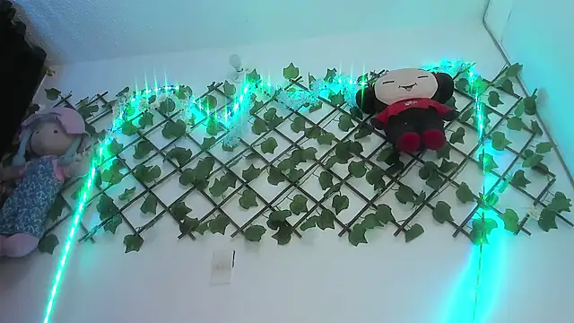 Pucaa  online show from December 13, 1:37 am