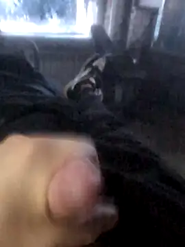 Snapshot of Boysex227 chatting on March 19, 4:27 am Boysex227 online show from March 19, 4:27 am