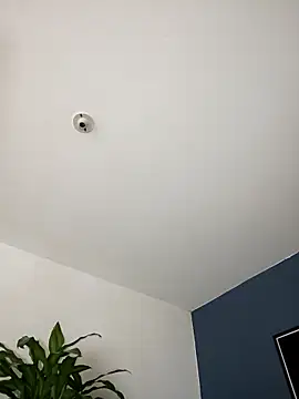 SilvaBranko online show from November 2, 11:07 pm