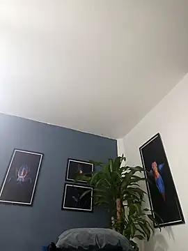 SilvaBranko online show from December 19, 2:07 am