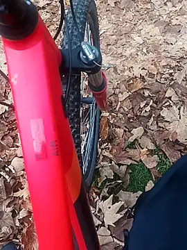 Snapshot of maleesa chatting on November 2, 6:27 am maleesa online show from November 2, 6:27 am