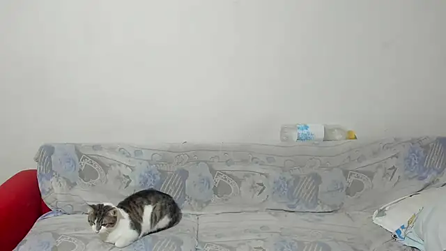 Snapshot of ANGELALEXYNO2024 chatting on February 26, 8:26 am ANGELALEXYNO2024 online show from February 26, 8:26 am