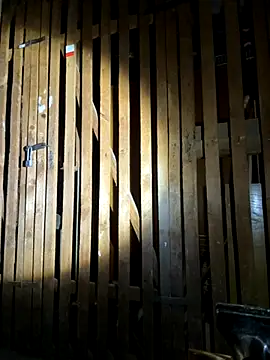 czruz online show from September 20, 3:35 pm