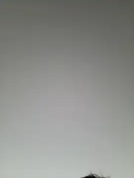 Snapshot of high_andlow420 chatting on March 8, 12:41 pm high andlow420 online show from March 8, 12:41 pm