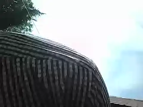 Snapshot of Javan_ chatting on January 15, 8:41 am Javan online show from January 15, 8:41 am