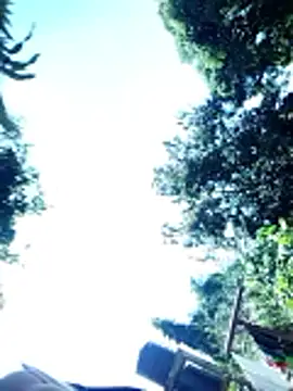 Snapshot of hairyswt_pus chatting on March 29, 7:30 am hairyswt pus online show from March 29, 7:30 am