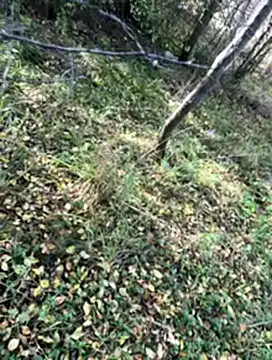 Snapshot of Sirina80 chatting on October 19, 11:55 am Sirina80 online show from October 19, 11:55 am